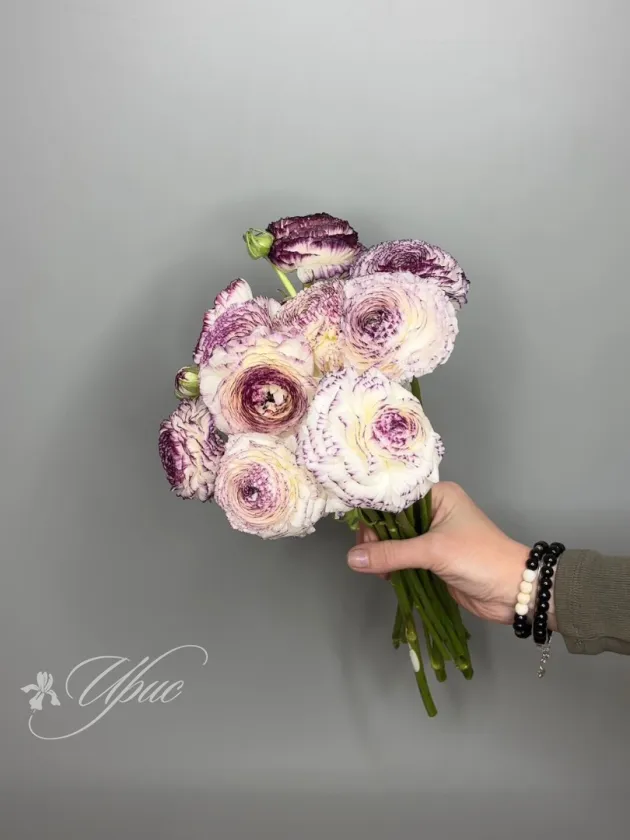 Ранункулус