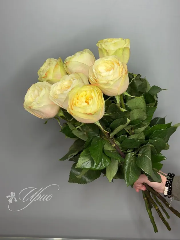 Роза сорта Баттеркап