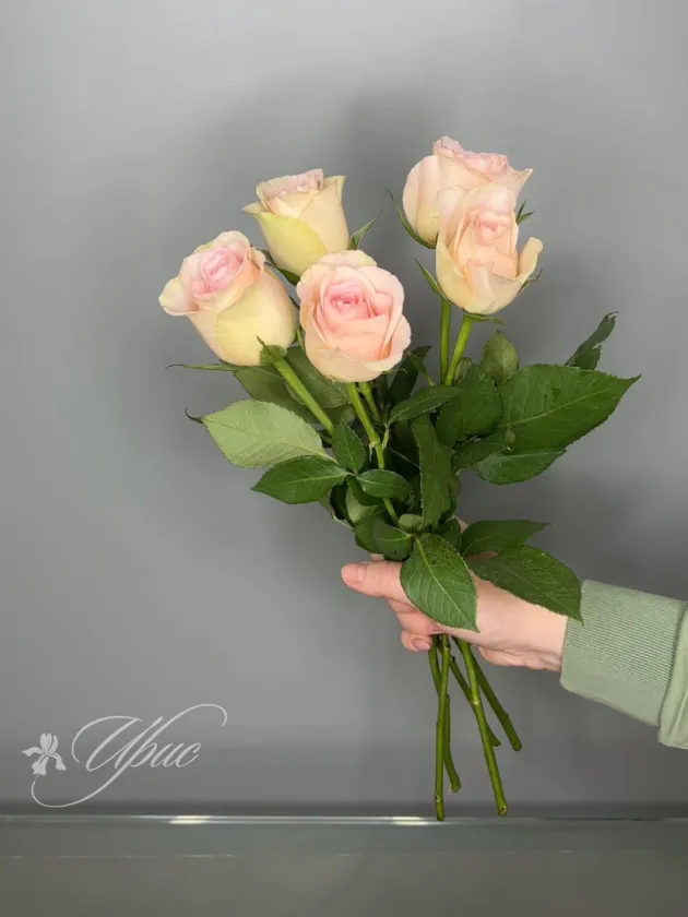 Роза нежно-розовая 40 см