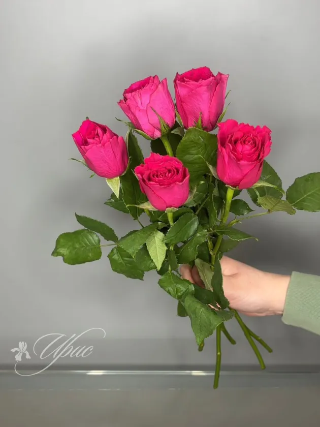 Роза Фуксия 40 см