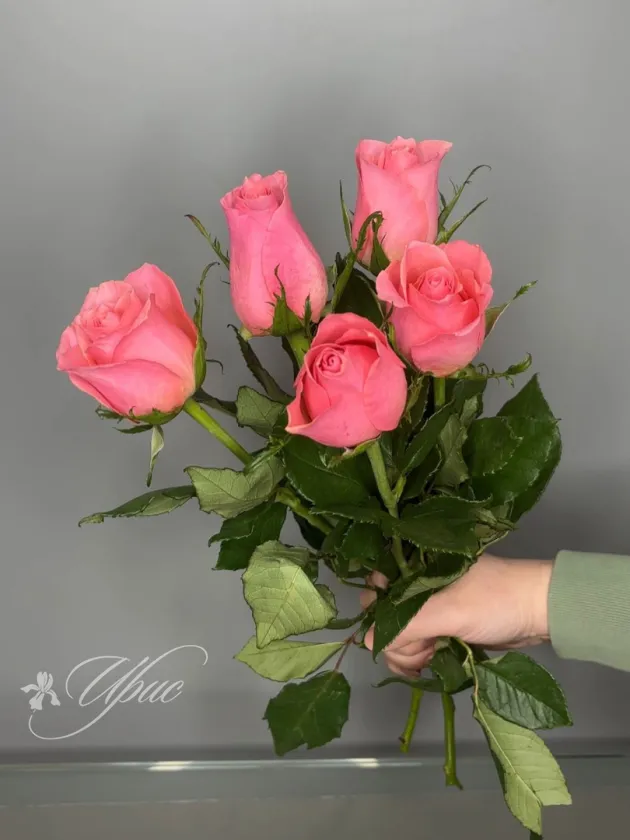 Роза розовая 40 см