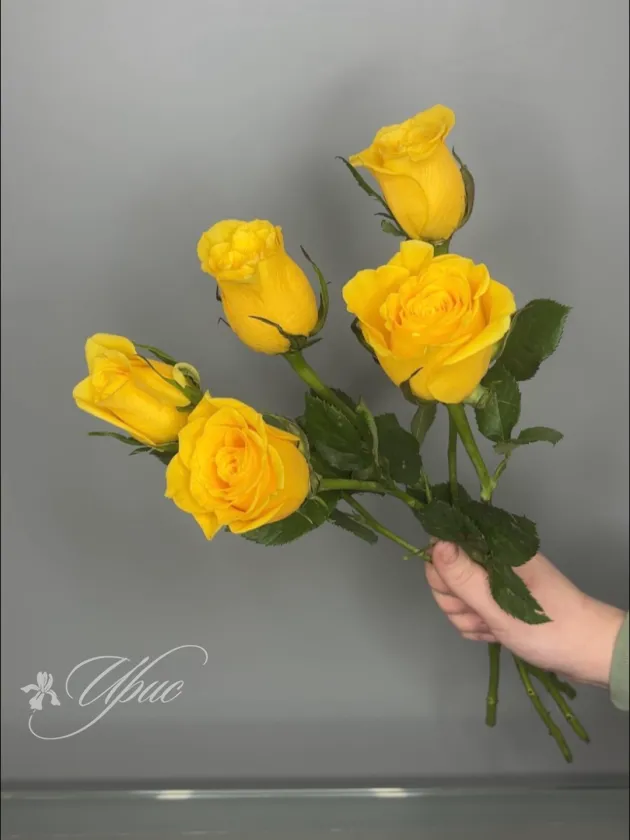 Роза желтая 40 см