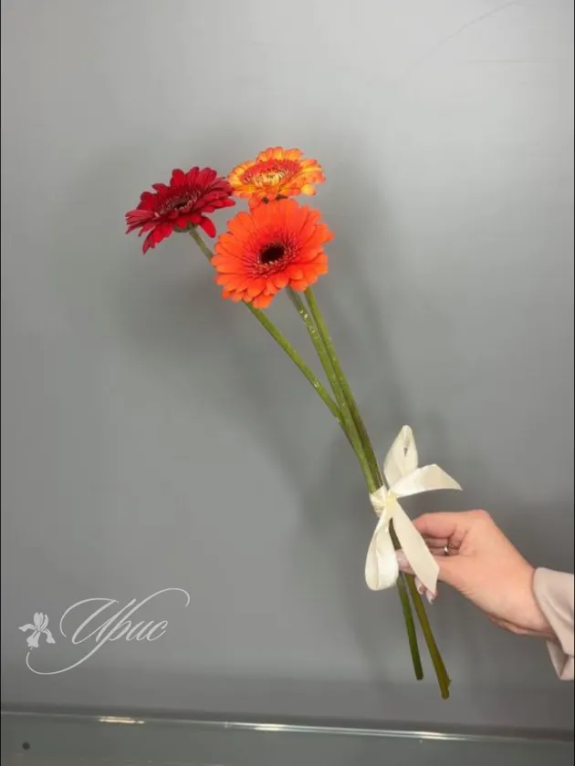 Букет «Милый комплимент»