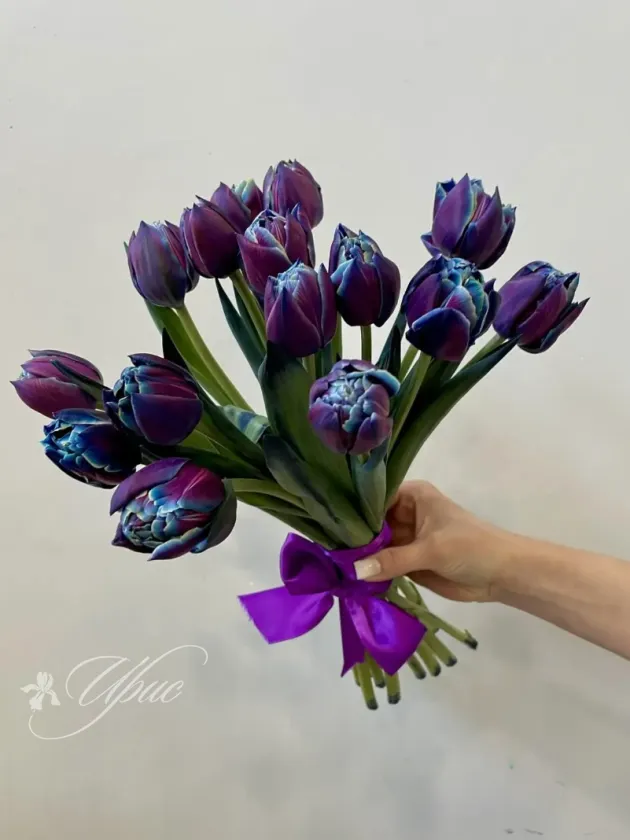 Букет из крашенных пионовидных тюльпанов