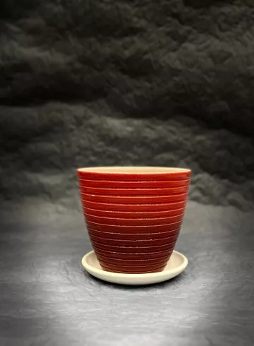 Горшок &laquo;Радуга Крокус&raquo; от интернет-магазина цветов в 