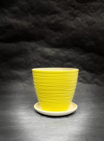 Горшок &laquo;Шорвель Крокус&raquo; от интернет-магазина цветов в 