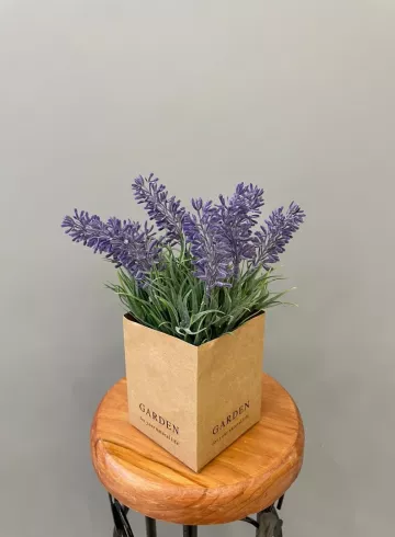 Лаванда в картоне от интернет-магазина цветов в 