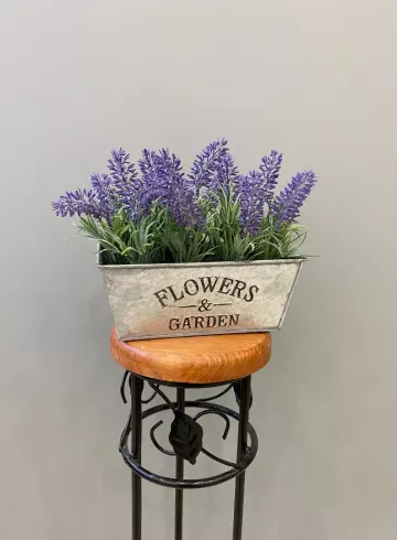 Лаванда в поддоне от интернет-магазина цветов в 