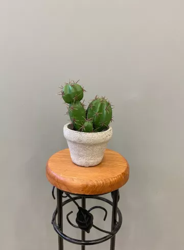 Фигурка Кактус №2 от интернет-магазина цветов в 