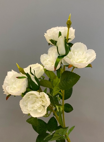 Пион Белый (иск.) от интернет-магазина цветов в 