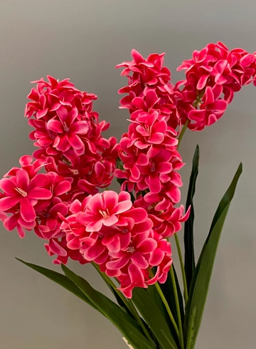 Гиацинт Красный (иск.) от интернет-магазина цветов в 