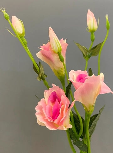 Эустома Розовая (иск.) от интернет-магазина цветов в 