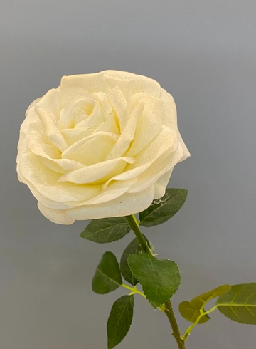 Роза Квин Белая (иск.) от интернет-магазина цветов в 