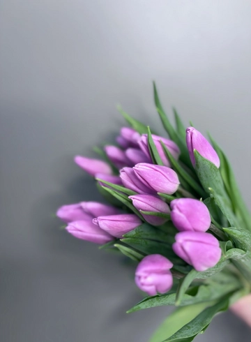 Тюльпан сиреневый от интернет-магазина цветов в 