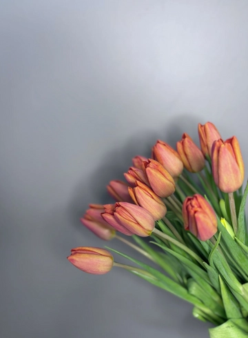 Тюльпан оранж от интернет-магазина цветов в 