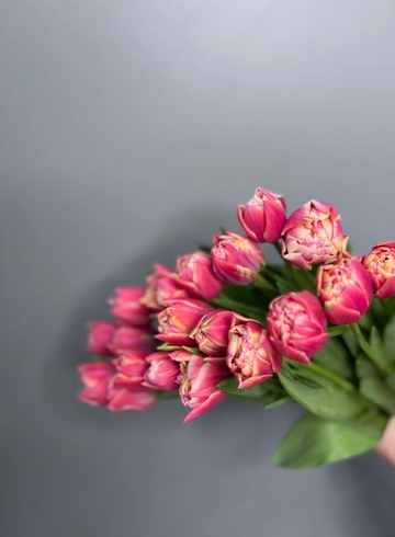 Тюльпан пионовидный от интернет-магазина цветов в 