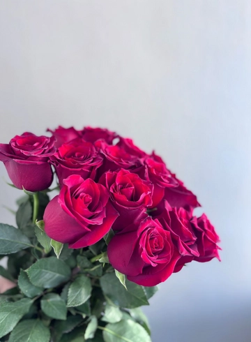 Роза Эксплорер от интернет-магазина цветов в 