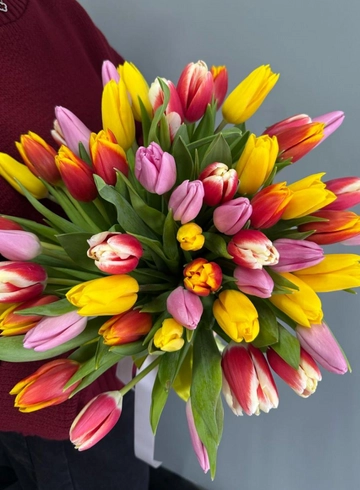 Тюльпан mix от интернет-магазина цветов в 