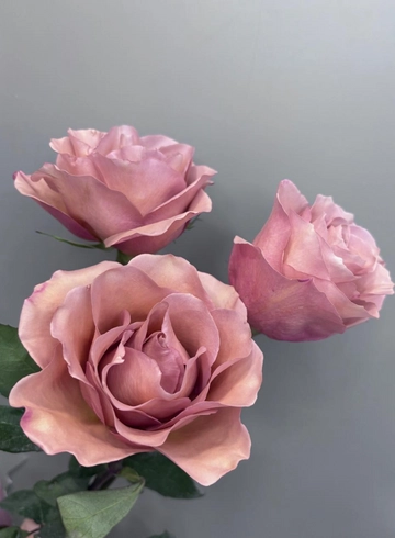 Роза Koko - Loko 60 см от интернет-магазина цветов в 