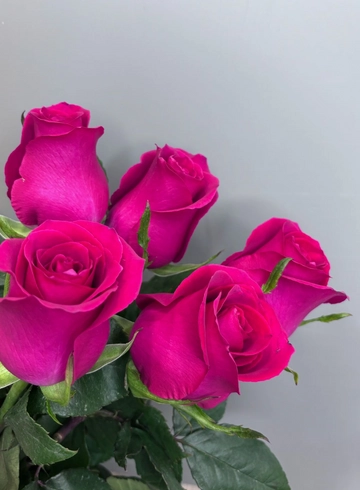 Роза Готча 70 см от интернет-магазина цветов в 