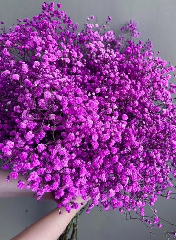 Гипсофила Розовая от интернет-магазина цветов в 