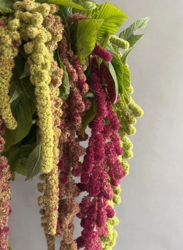 Амарантовый каскад от интернет-магазина цветов в 