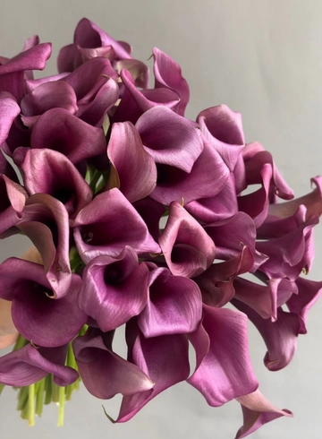 Калла  от интернет-магазина цветов в 