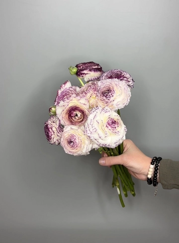 Ранункулус от интернет-магазина цветов в 