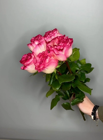 Роза сорта Энчатмент от интернет-магазина цветов в 