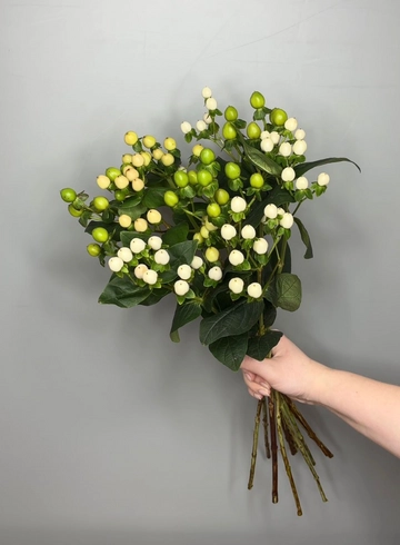 Гиперикум от интернет-магазина цветов в 