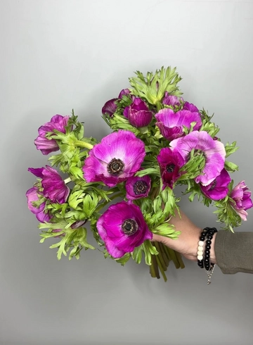 Анемон от интернет-магазина цветов в 