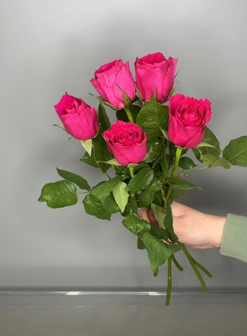 Роза Фуксия 40 см от интернет-магазина цветов в 