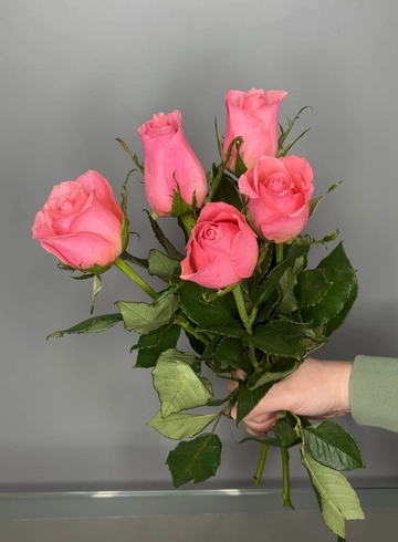 Роза розовая 40 см от интернет-магазина цветов в 