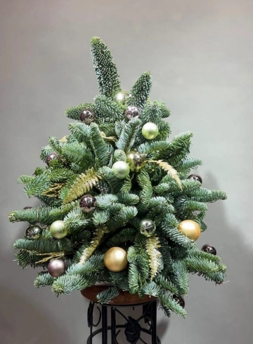 Новогодняя композиция &laquo;Елочка&raquo; от интернет-магазина цветов в 