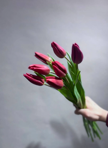 Тюльпаны &laquo;Бургундское вино&raquo; от интернет-магазина цветов в 