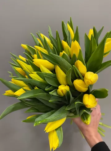 Тюльпан Желтый от интернет-магазина цветов в 