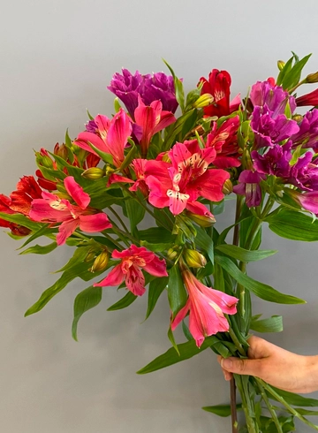 Альстромерия от интернет-магазина цветов в 