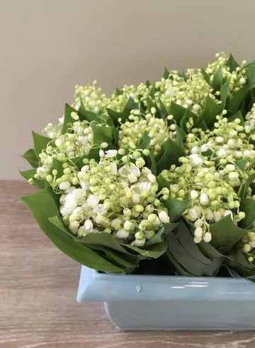 Букет &laquo;Ландыш&raquo; от интернет-магазина цветов в 