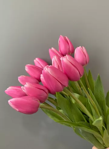 Тюльпан Розовый от интернет-магазина цветов в 
