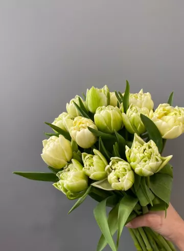 Тюльпан Белый от интернет-магазина цветов в 