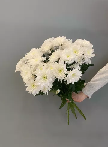 Букет №2 от интернет-магазина цветов в 